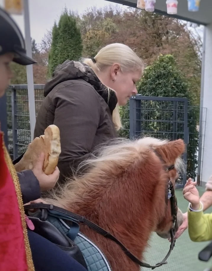 2025 Laternenfest Pferd Draußen