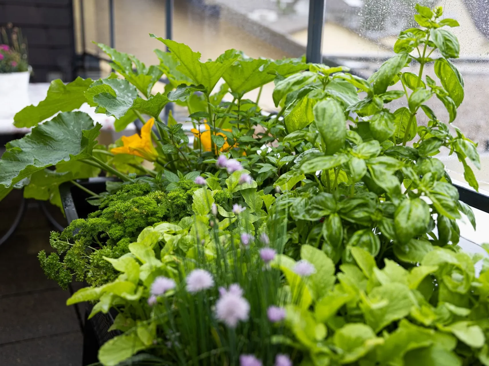 UNSER HAUS 9 Bild Wohnkonzept7 1920w