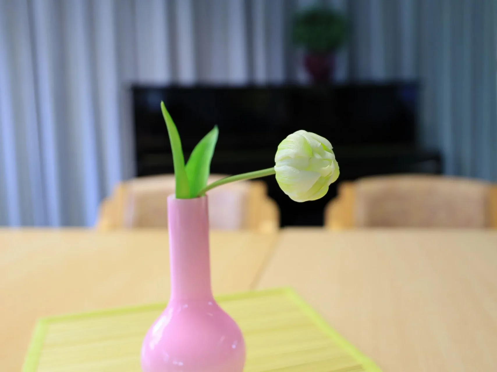 UNSER HAUS 16 Wohnheim Bewohner Zielgruppe Lt10 Lt12 Haushaltsfuehrung Blume Haus Marienfeld